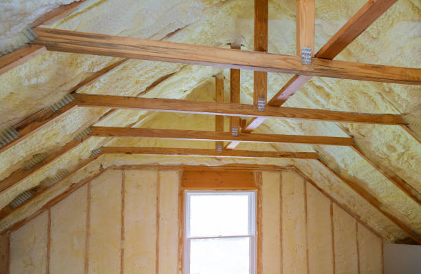 Best Insulation Repair Services  in Kahaluu Keauhou, HI