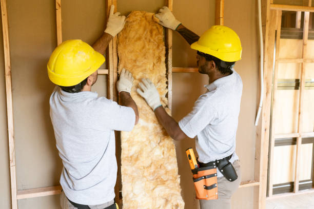 Best Professional Insulation Contractor  in Kahaluu Keauhou, HI